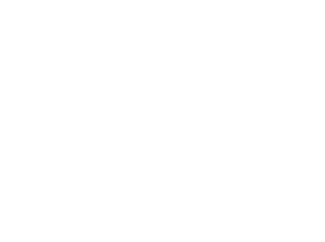 Necerel Logo